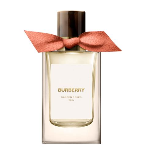 spolverino burberry rosa|burberry garden roses perfume.